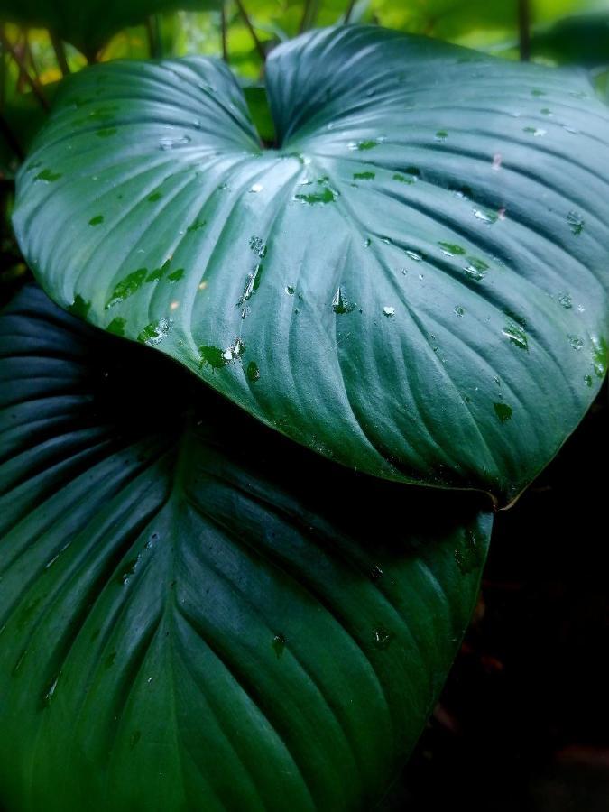 Finca Kobo Palo Seco Luaran gambar