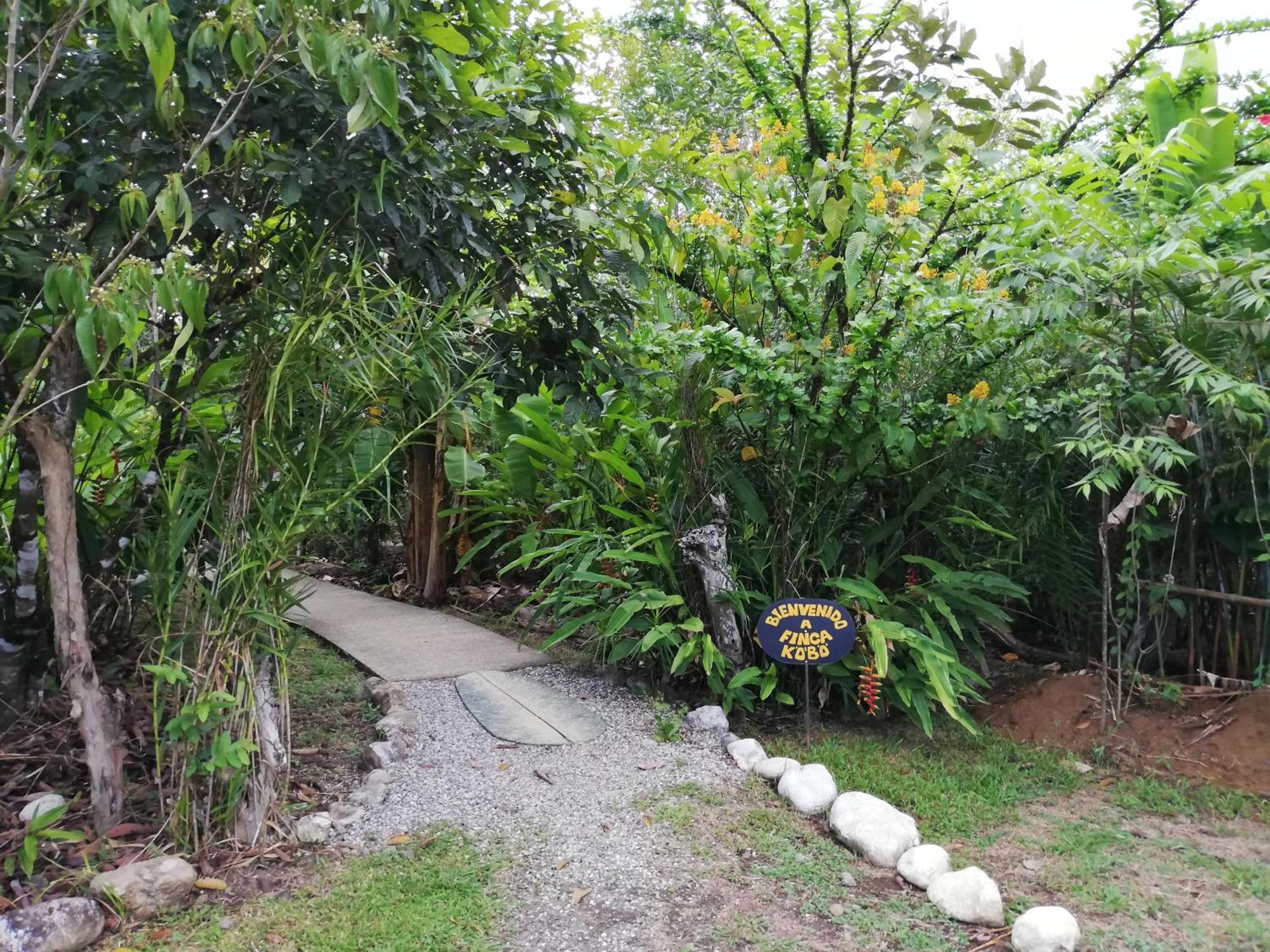 Finca Kobo Palo Seco Luaran gambar