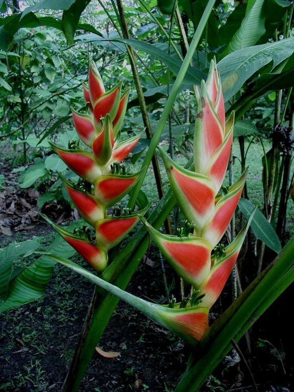 Finca Kobo Palo Seco Luaran gambar
