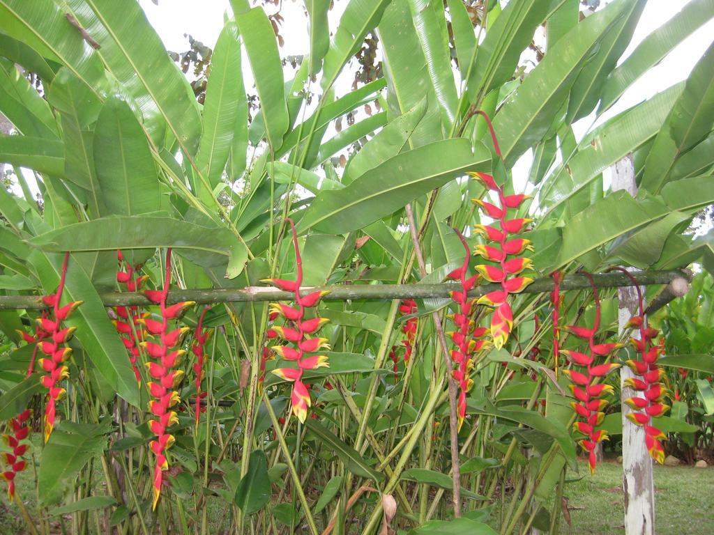 Finca Kobo Palo Seco Luaran gambar
