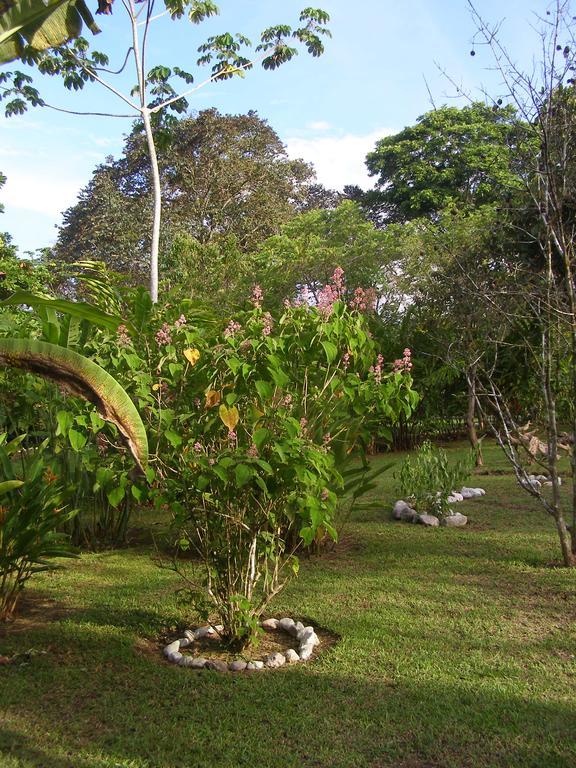 Finca Kobo Palo Seco Luaran gambar